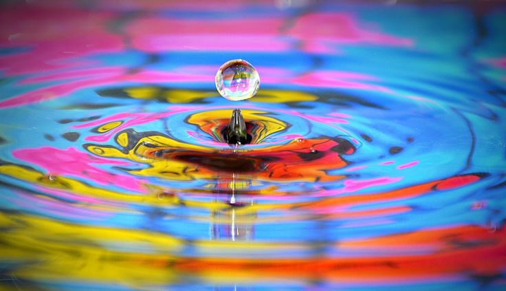 splash splash